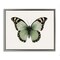 Stupell Industries Green Symmetrical Butterfly Framed Floater Canvas Wall Art Design by Elizabeth Medley